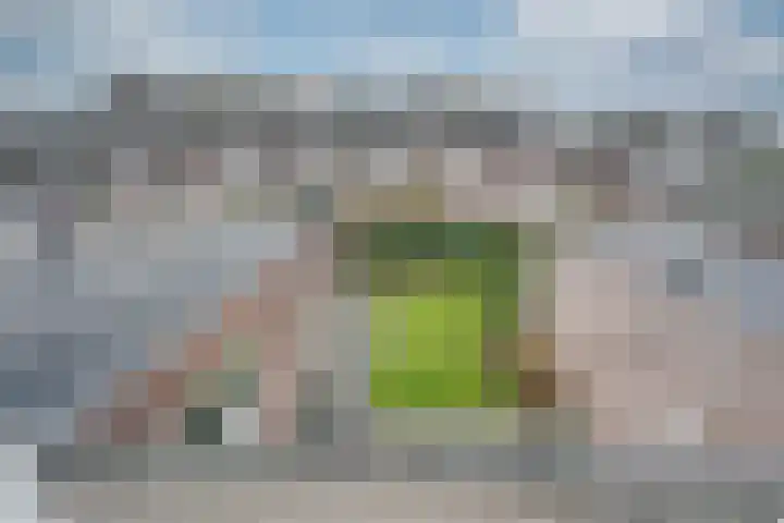 Monnikskap 9 Udenhout thumbnail 34