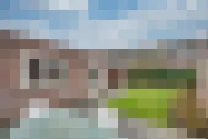 Monnikskap 9 Udenhout thumbnail 35