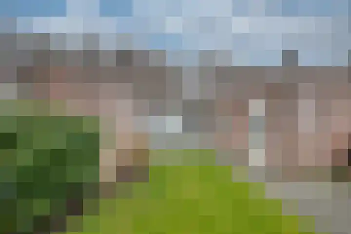 Monnikskap 9 Udenhout thumbnail 36
