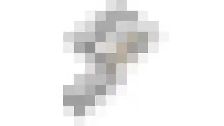 Monnikskap 9 Udenhout thumbnail 40