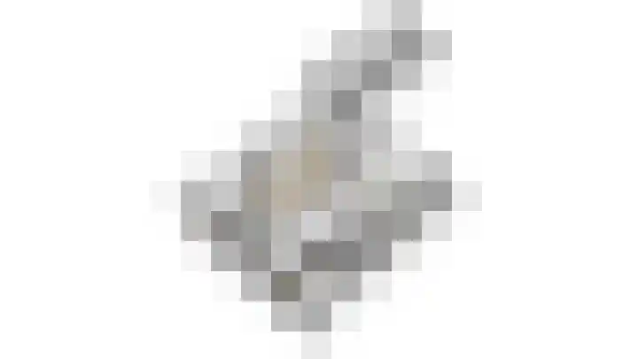 Monnikskap 9 Udenhout thumbnail 41