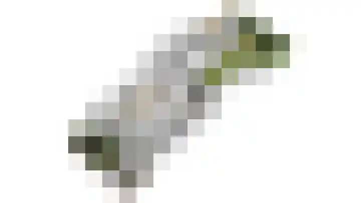 Monnikskap 9 Udenhout thumbnail 47