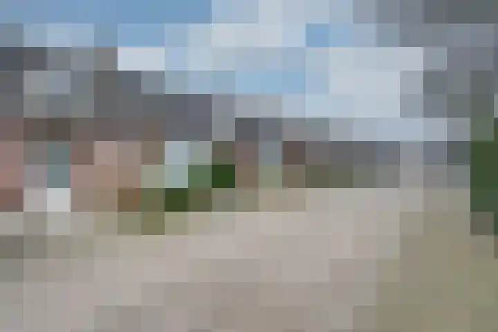 Monnikskap 9 Udenhout thumbnail 6