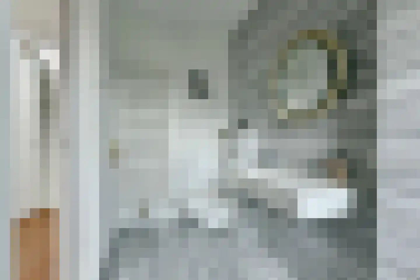 Monnikskapstraat 38 Amsterdam thumbnail 19