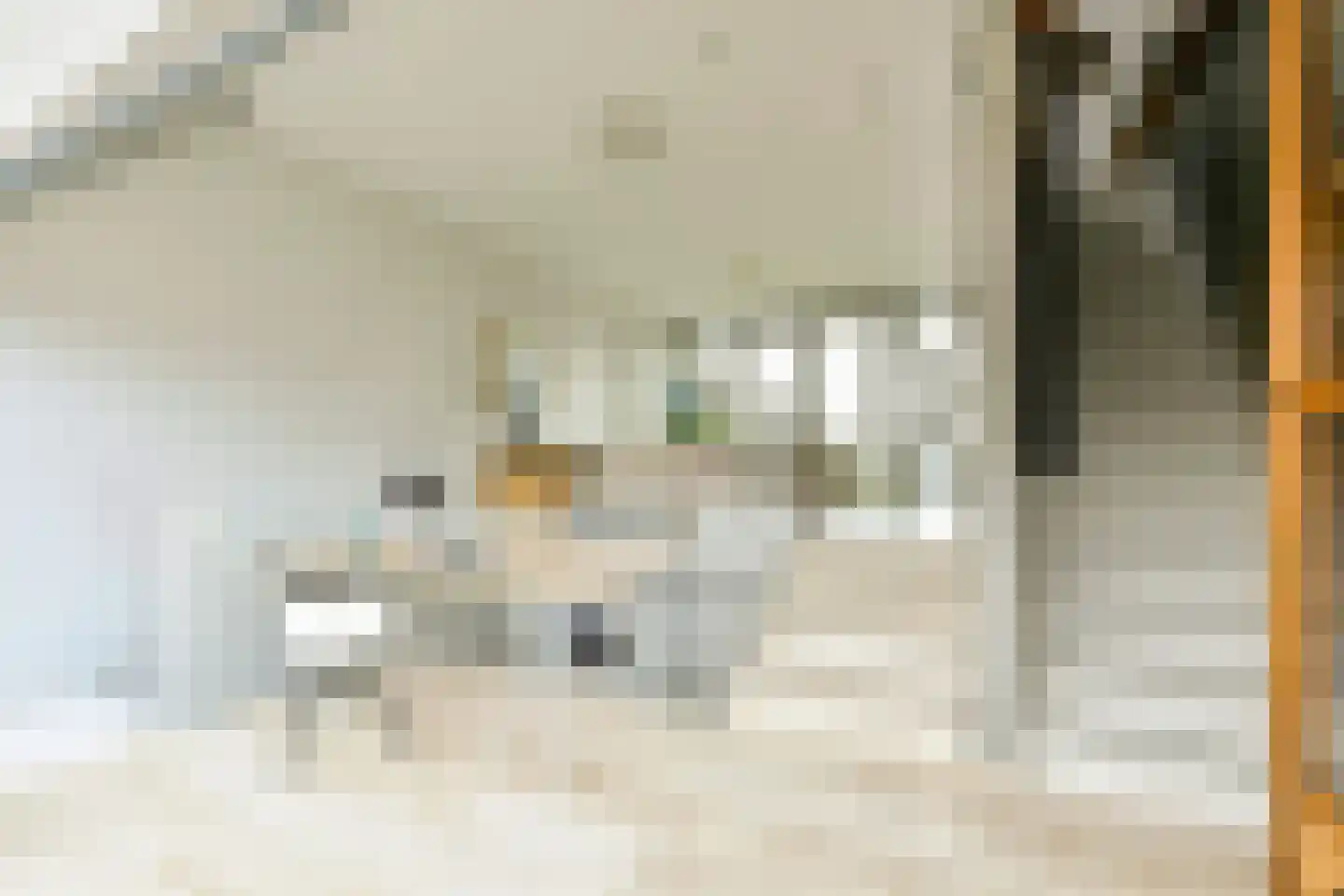 Monnikskapstraat 38 Amsterdam thumbnail 23