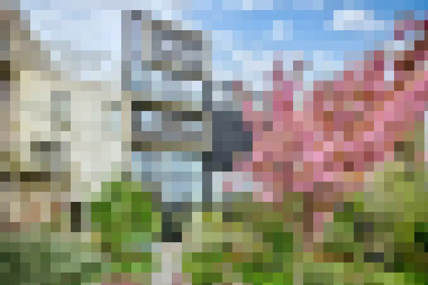 Monnikskapstraat 38 Amsterdam thumbnail 46