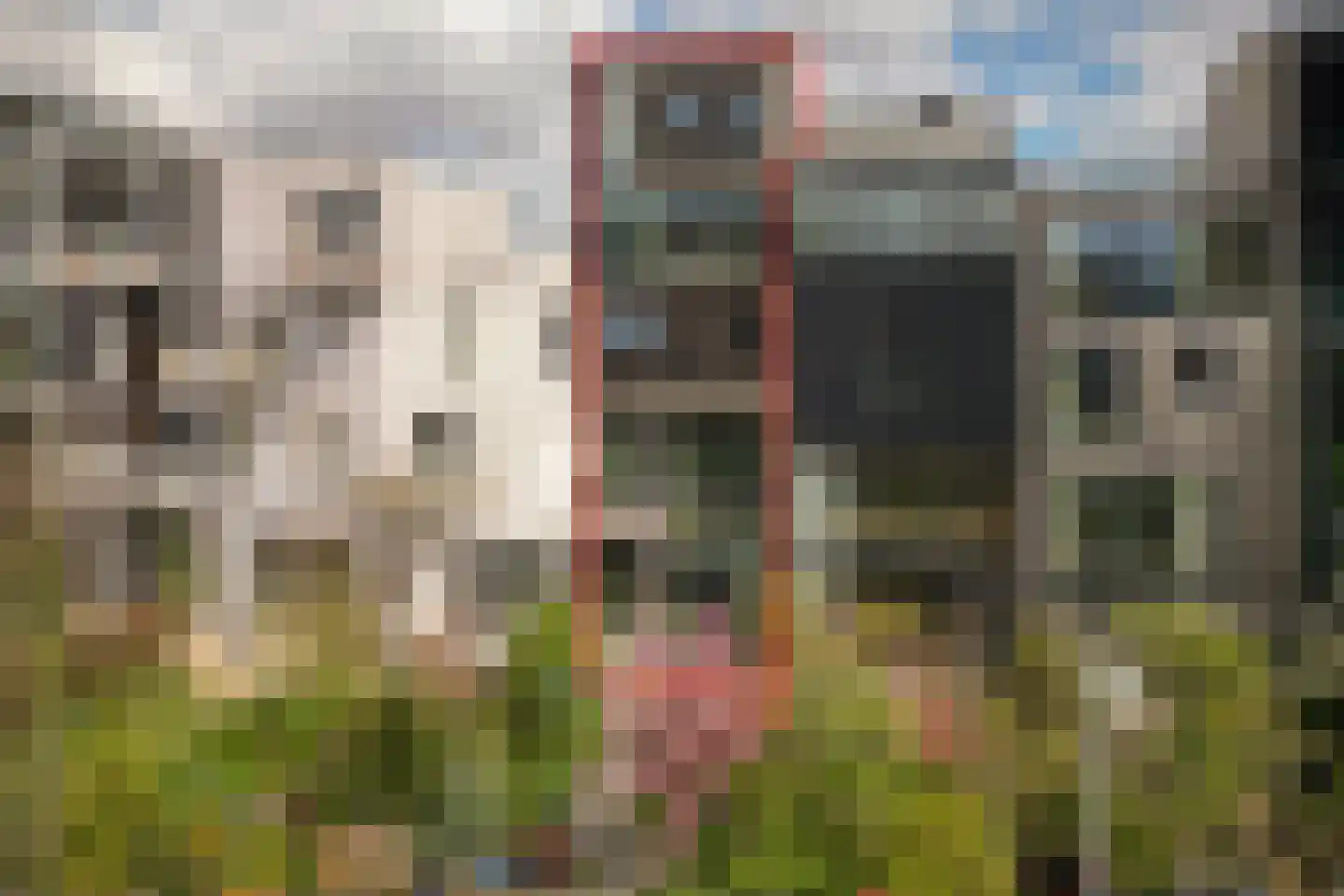 Monnikskapstraat 38 Amsterdam thumbnail 53