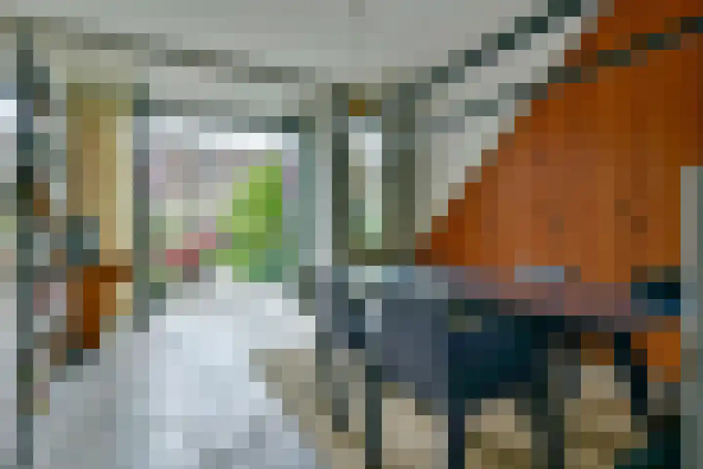 Monnikskapstraat 38 Amsterdam thumbnail 7