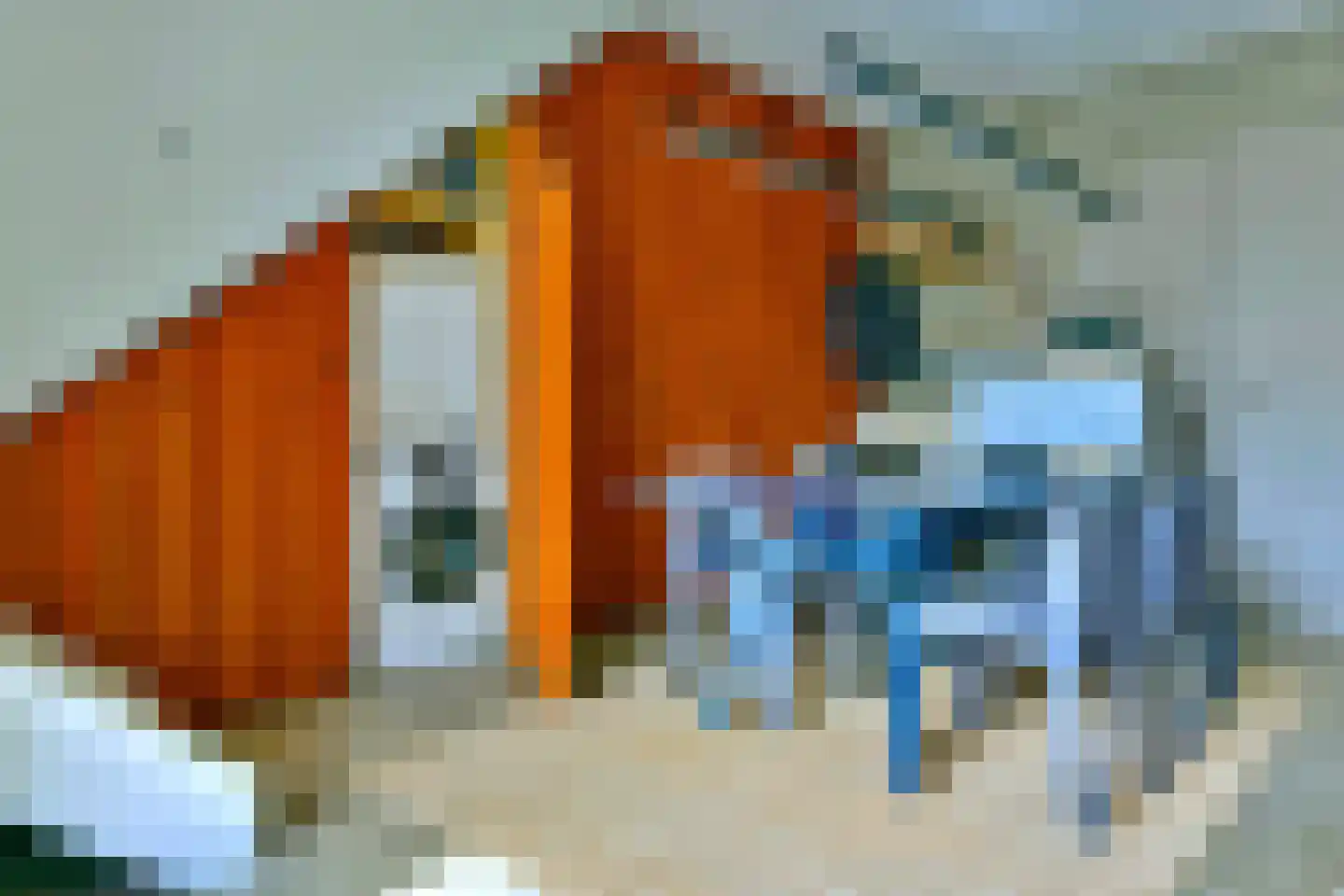 Monnikskapstraat 38 Amsterdam thumbnail 8