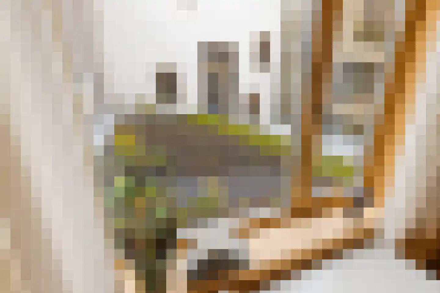 Monnikskapstraat 66 Amsterdam thumbnail 15