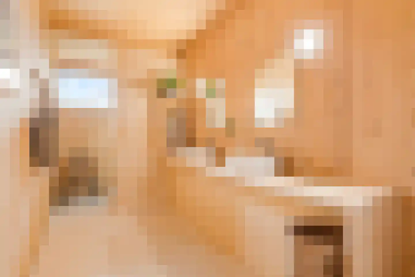 Monnikskapstraat 66 Amsterdam thumbnail 17