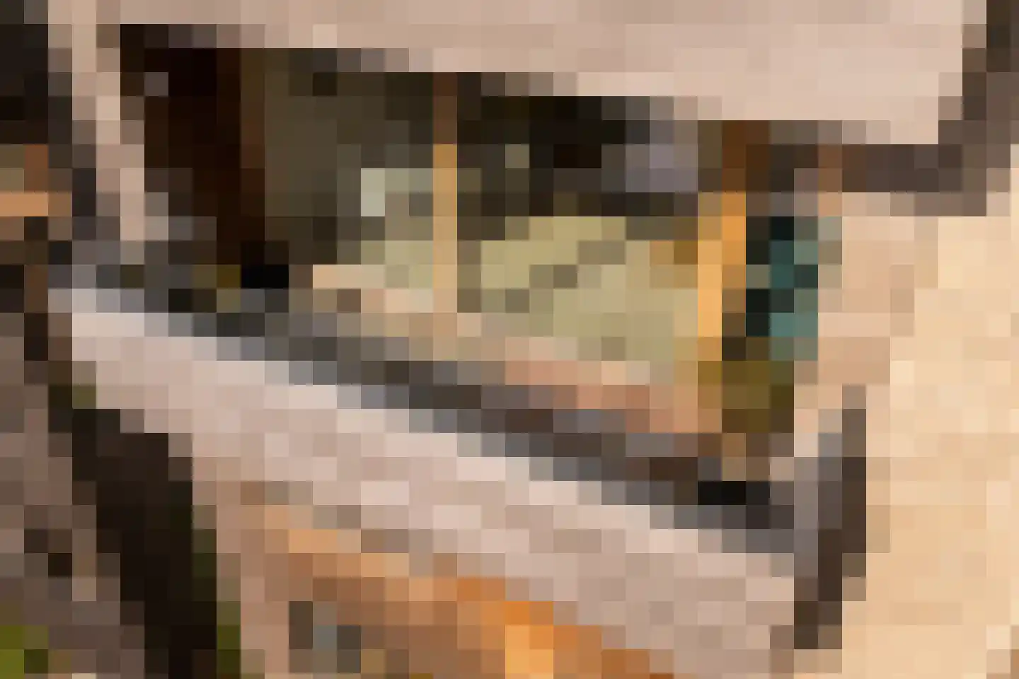 Monnikskapstraat 66 Amsterdam thumbnail 26