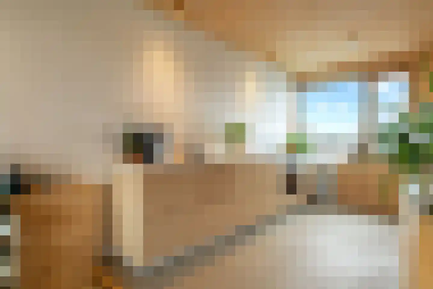 Monnikskapstraat 66 Amsterdam thumbnail 29