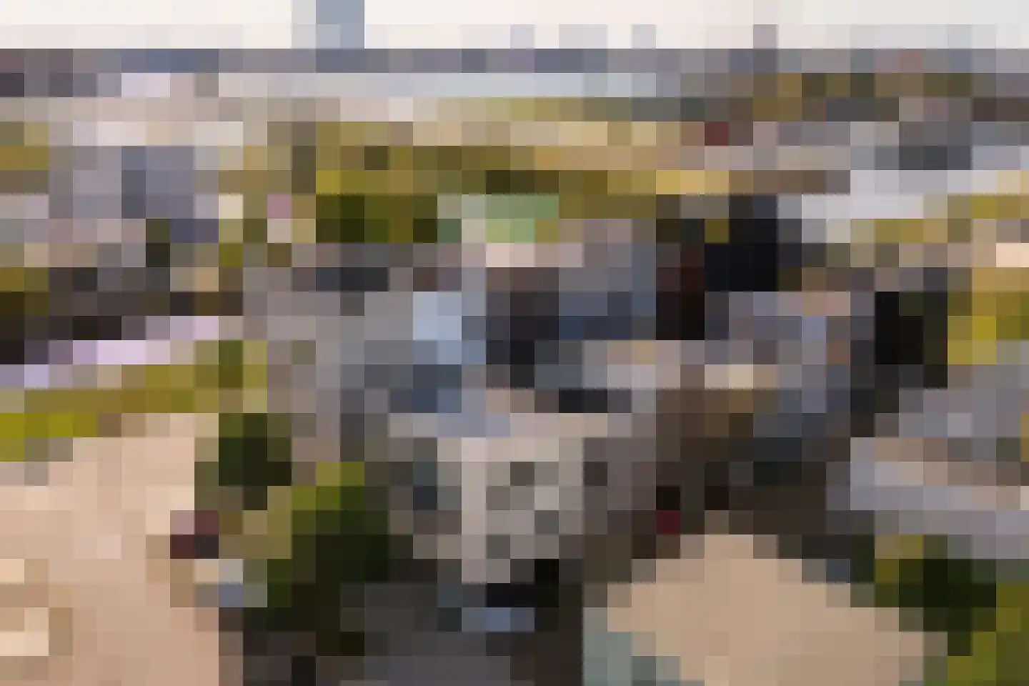 Monnikskapstraat 66 Amsterdam thumbnail 39