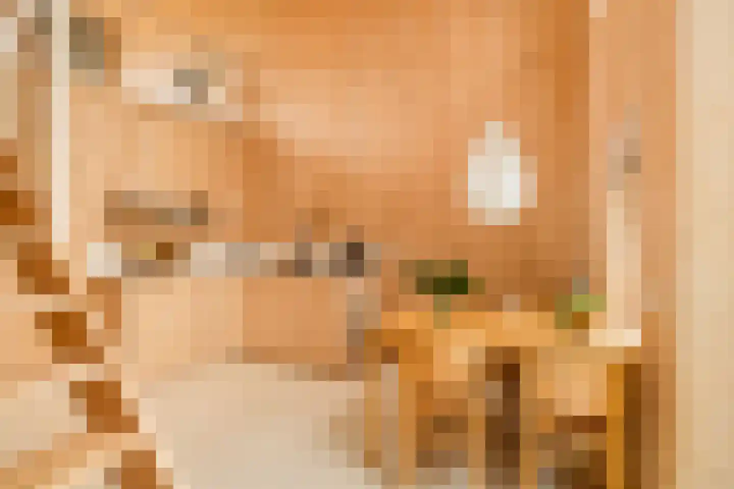 Monnikskapstraat 66 Amsterdam thumbnail 45