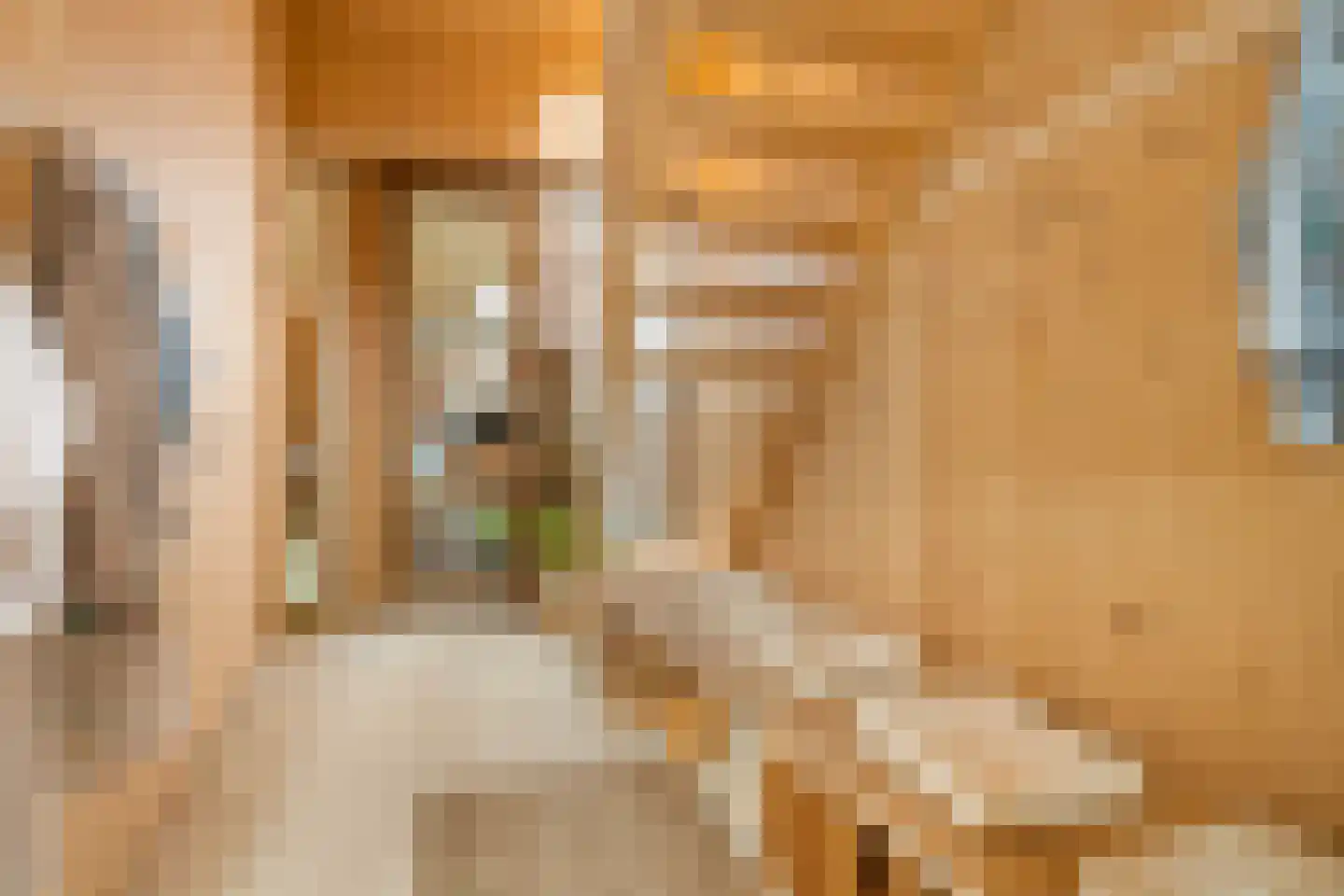 Monnikskapstraat 66 Amsterdam thumbnail 6