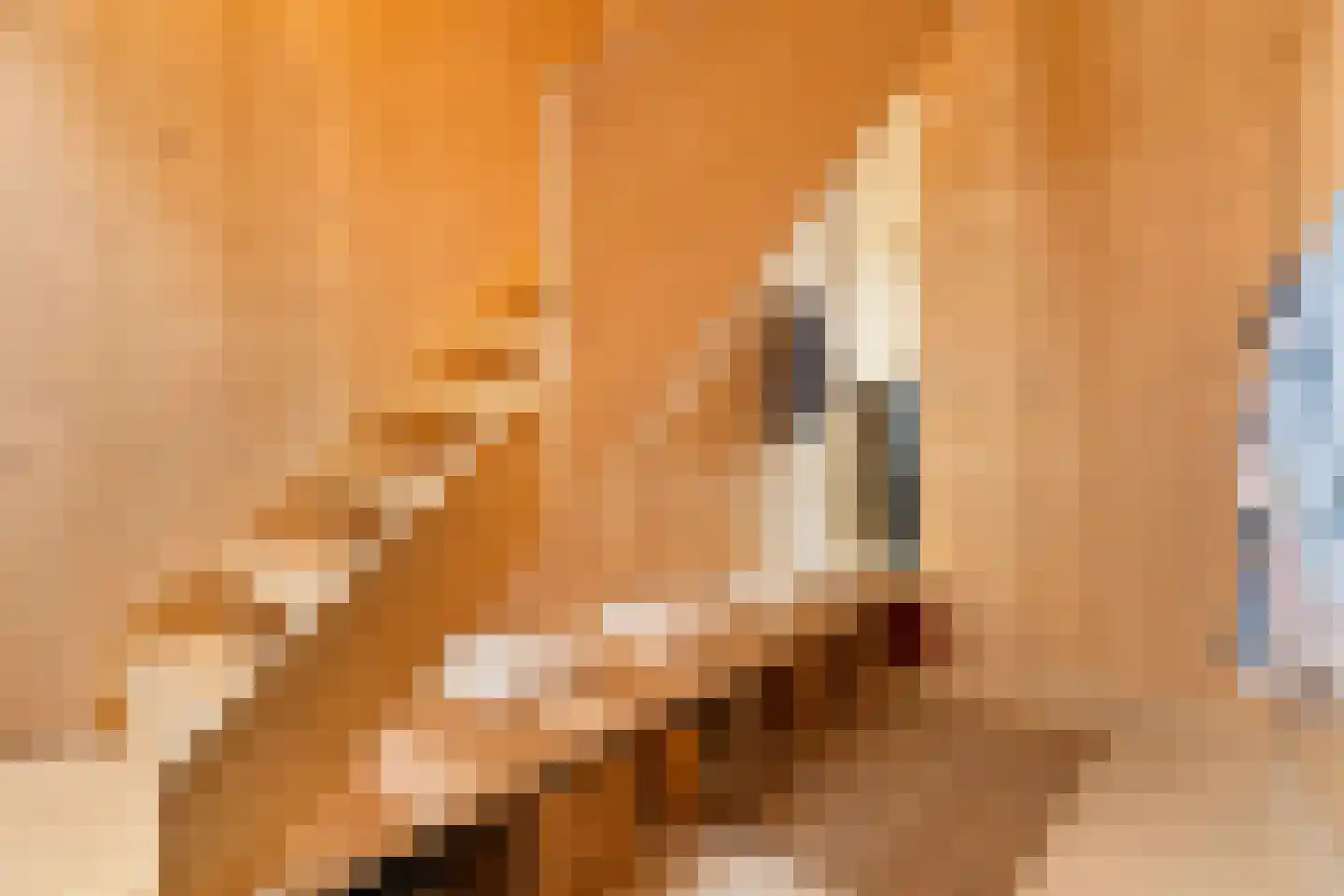 Monnikskapstraat 66 Amsterdam thumbnail 7