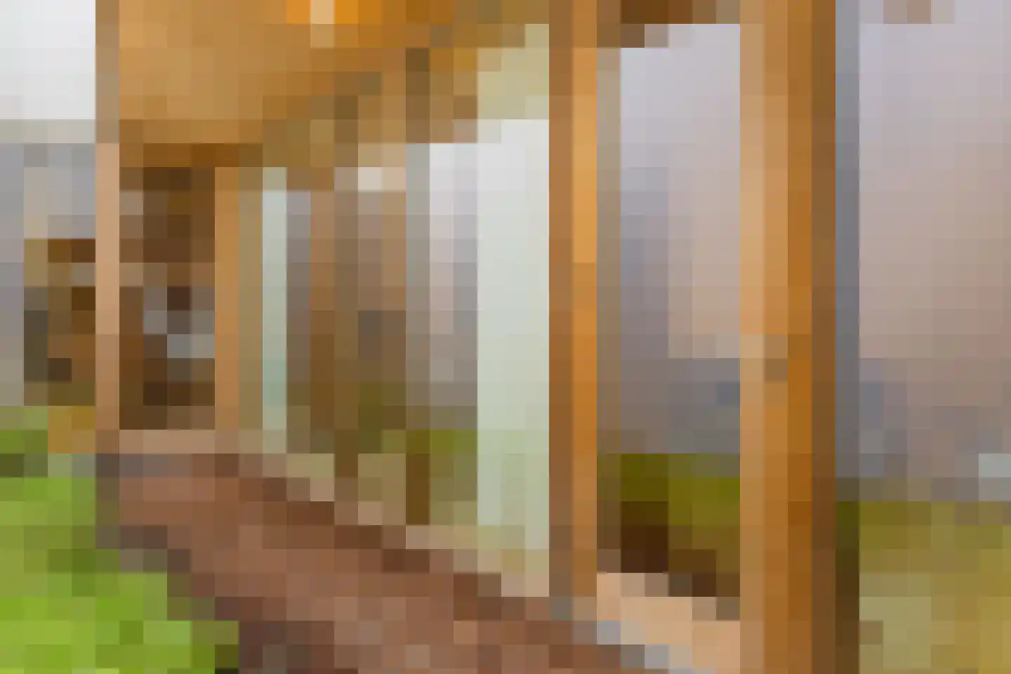 Monnikskapstraat 66 Amsterdam thumbnail 9