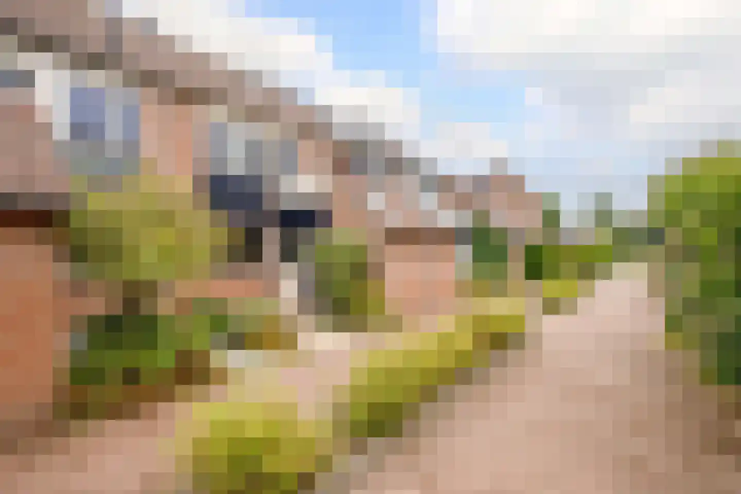 Monnikskruid 15 in Nieuwerkerk aan den IJssel