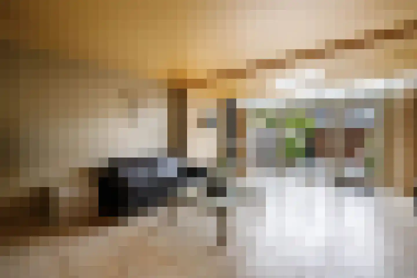Monnikskruid 15 Nieuwerkerk aan den IJssel thumbnail 14
