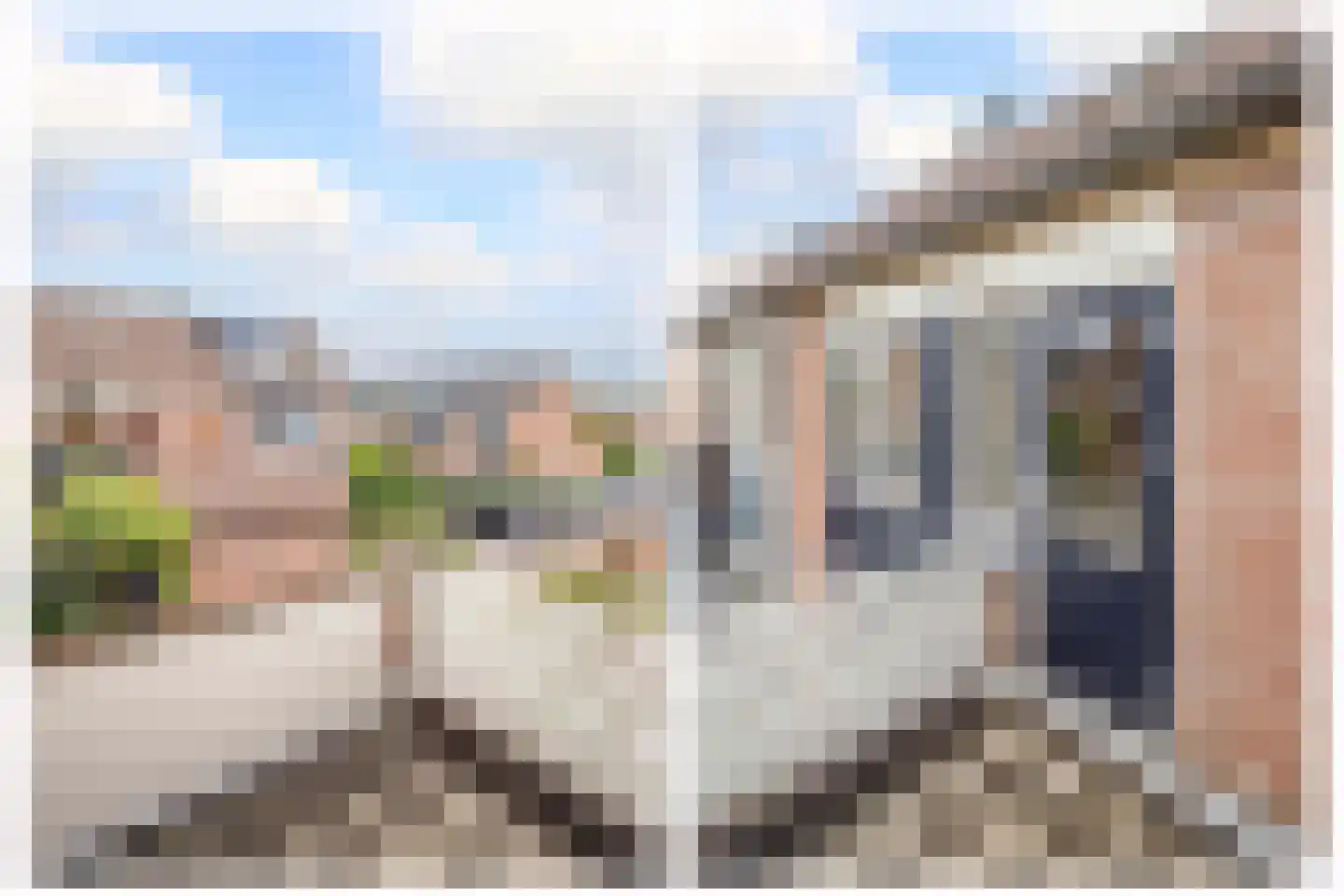 Monnikskruid 15 Nieuwerkerk aan den IJssel thumbnail 20