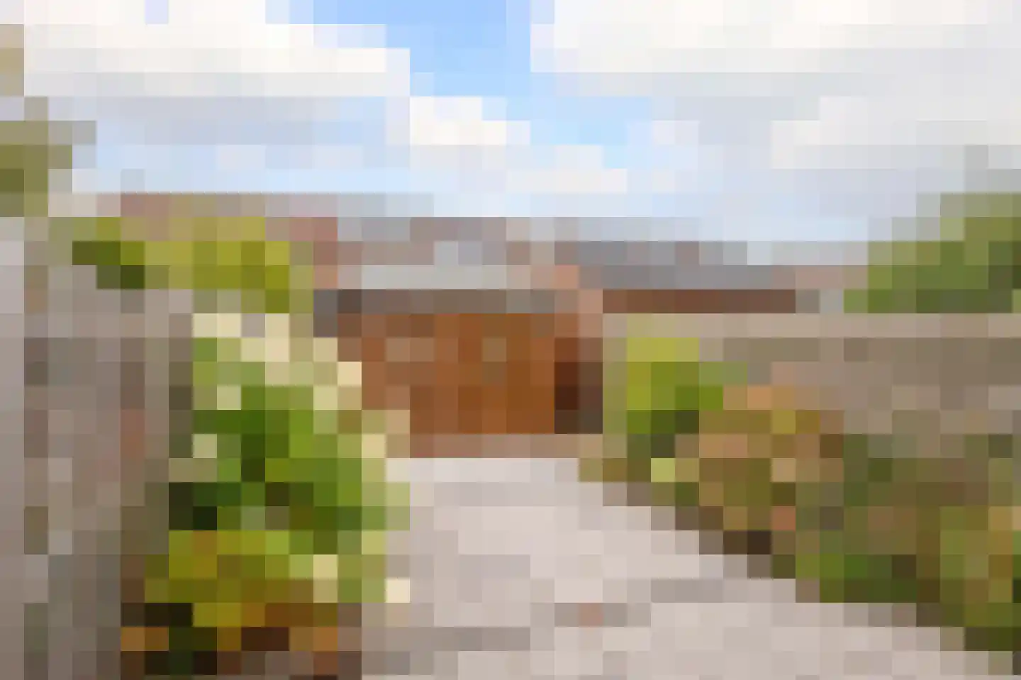 Monnikskruid 15 Nieuwerkerk aan den IJssel thumbnail 29