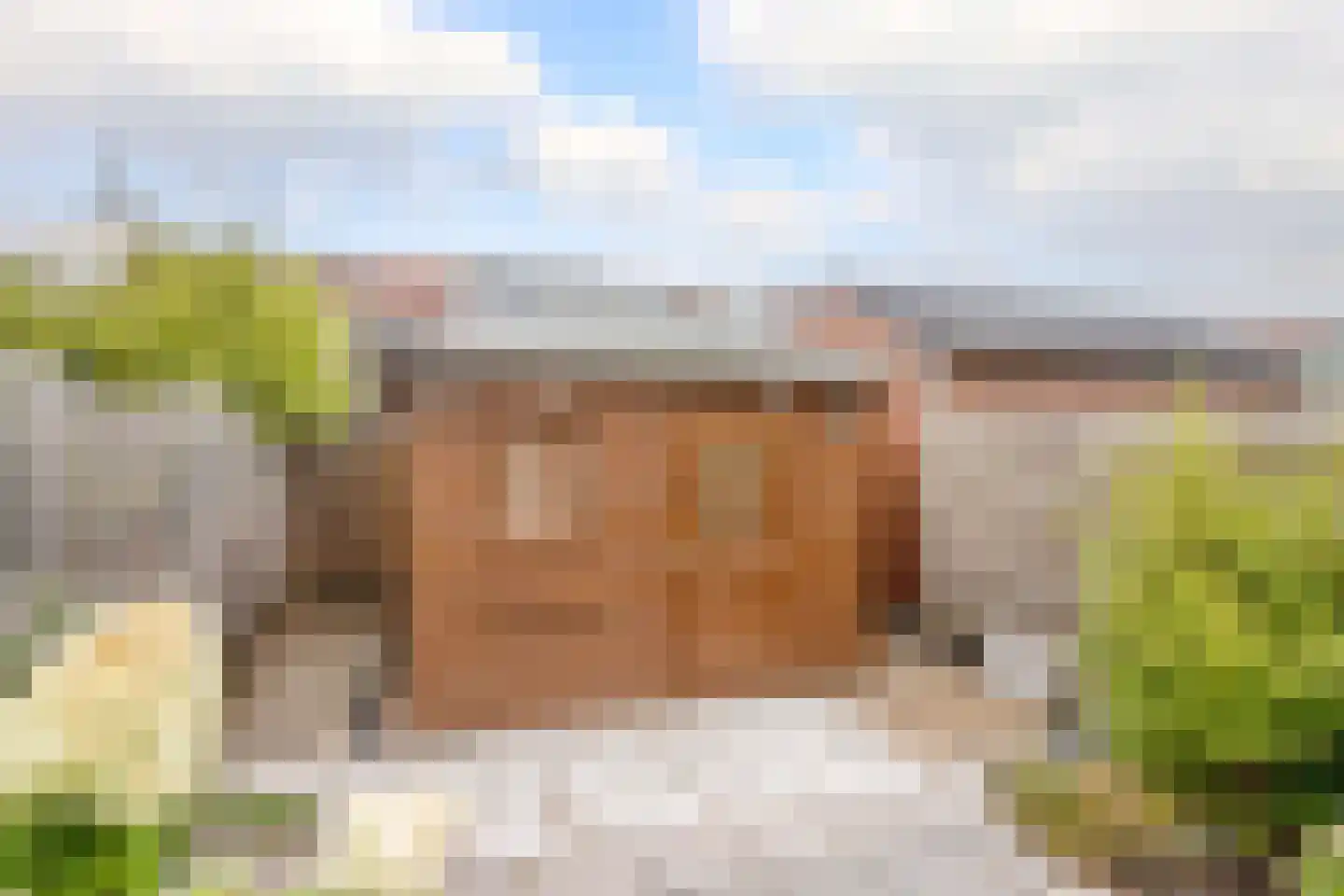 Monnikskruid 15 Nieuwerkerk aan den IJssel thumbnail 30