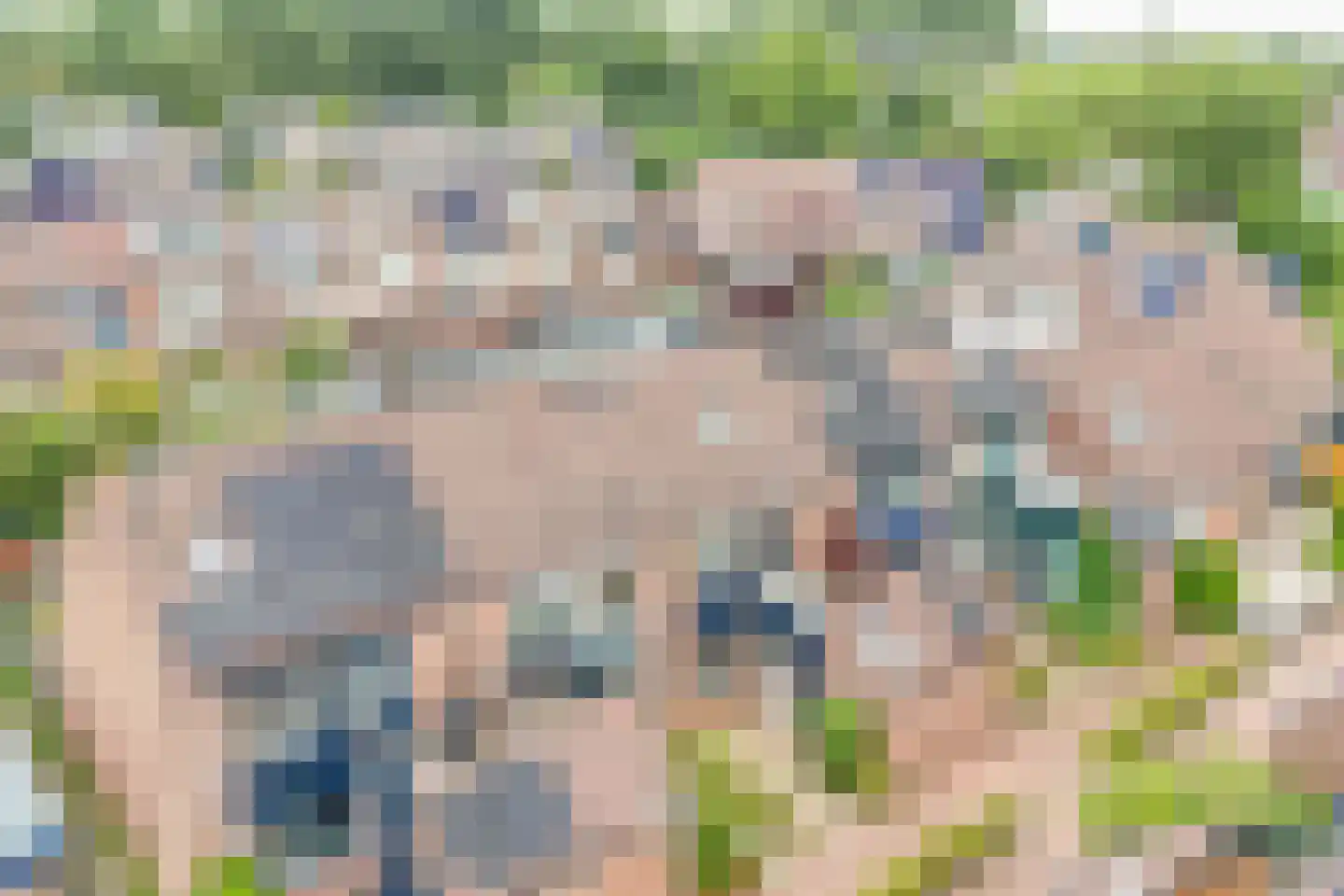 Monnikskruid 15 Nieuwerkerk aan den IJssel thumbnail 32