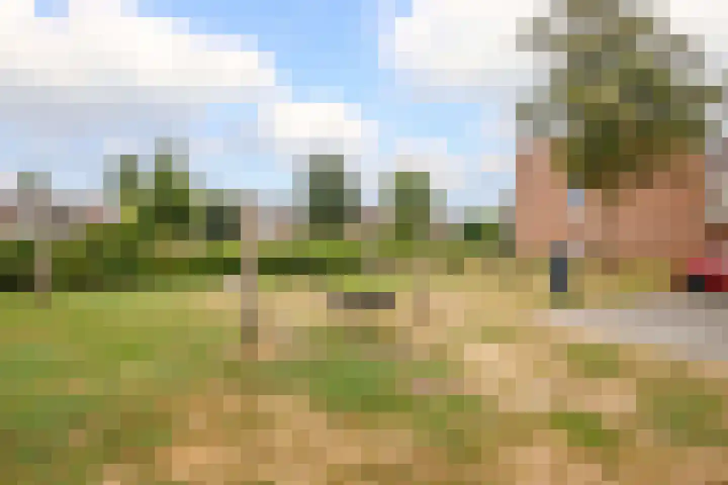 Monnikskruid 15 Nieuwerkerk aan den IJssel thumbnail 34