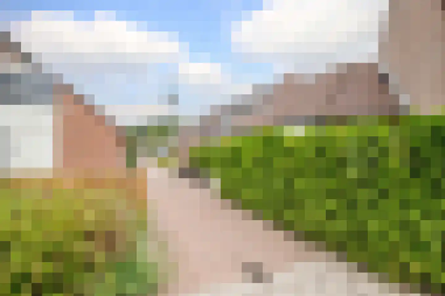 Monnikskruid 15 Nieuwerkerk aan den IJssel thumbnail 35