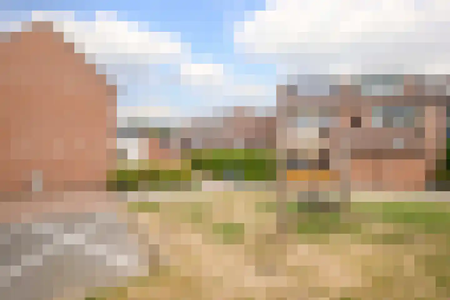 Monnikskruid 15 Nieuwerkerk aan den IJssel thumbnail 36
