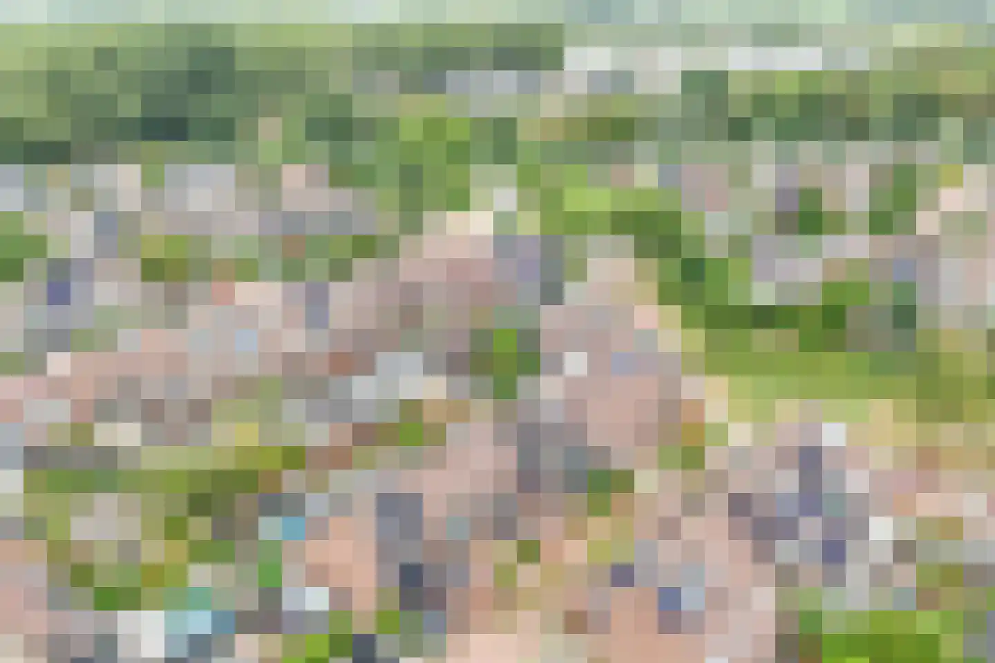 Monnikskruid 15 Nieuwerkerk aan den IJssel thumbnail 37