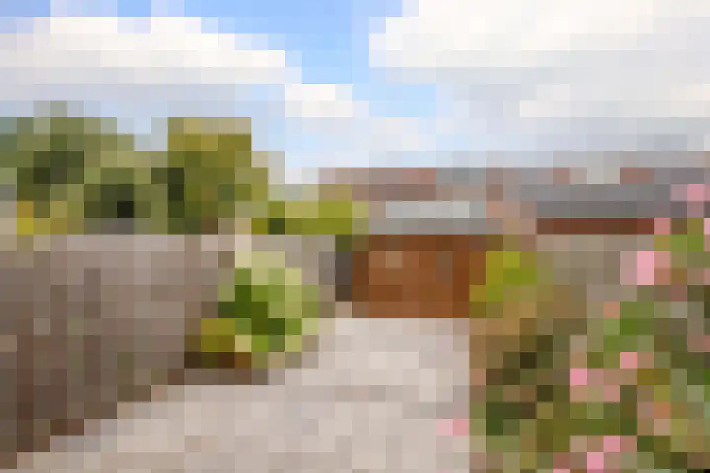 Monnikskruid 15 Nieuwerkerk aan den IJssel thumbnail 5