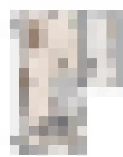 Monniksmolen 13 Zwolle thumbnail 6