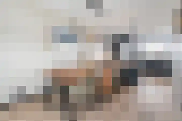 Monniksmolen 24 Zwolle thumbnail 11