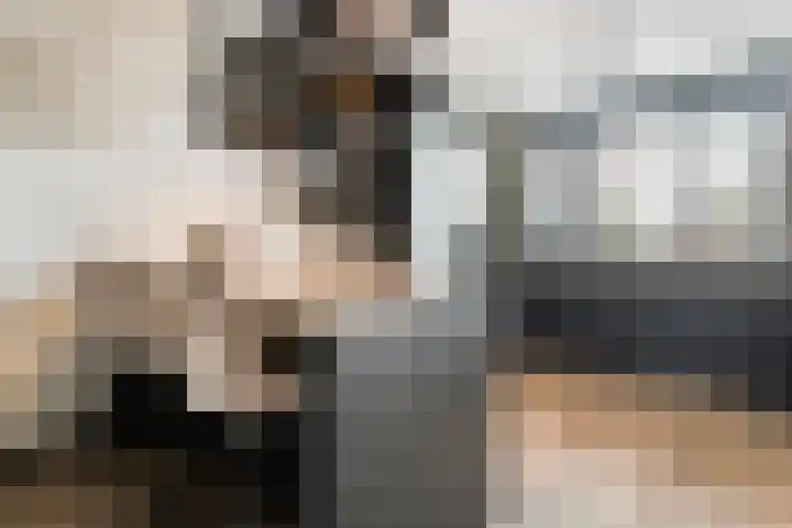Monniksmolen 24 Zwolle thumbnail 12