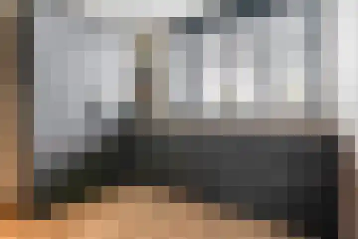 Monniksmolen 24 Zwolle thumbnail 13