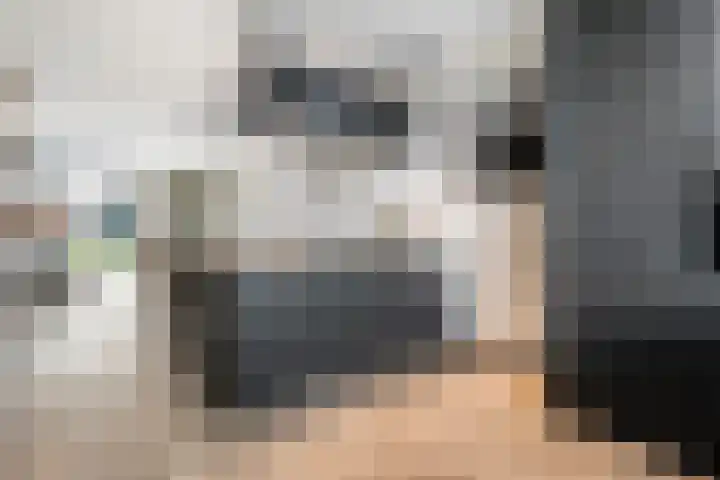Monniksmolen 24 Zwolle thumbnail 14