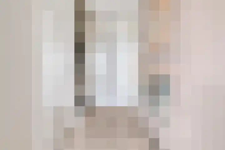 Monniksmolen 24 Zwolle thumbnail 18