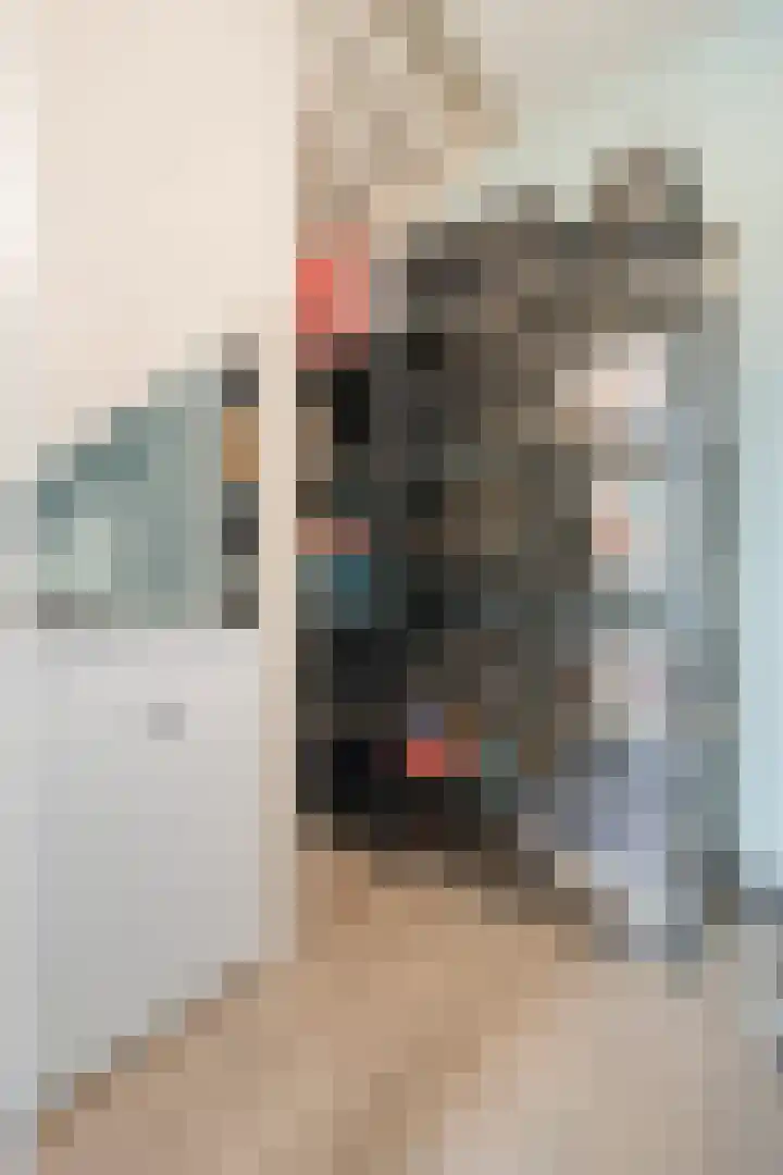 Monniksmolen 24 Zwolle thumbnail 20