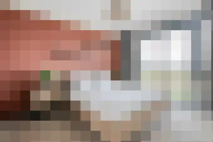 Monniksmolen 24 Zwolle thumbnail 23