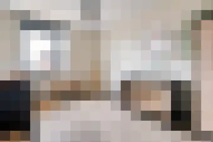 Monniksmolen 24 Zwolle thumbnail 25