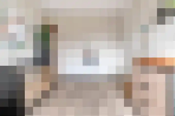 Monniksmolen 24 Zwolle thumbnail 26