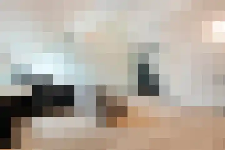 Monniksmolen 24 Zwolle thumbnail 31