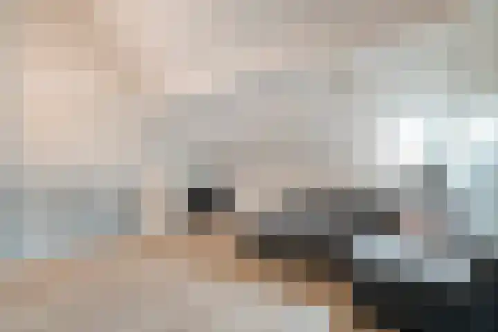 Monniksmolen 24 Zwolle thumbnail 32