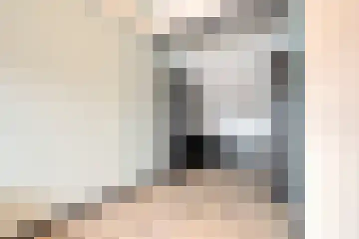 Monniksmolen 24 Zwolle thumbnail 33