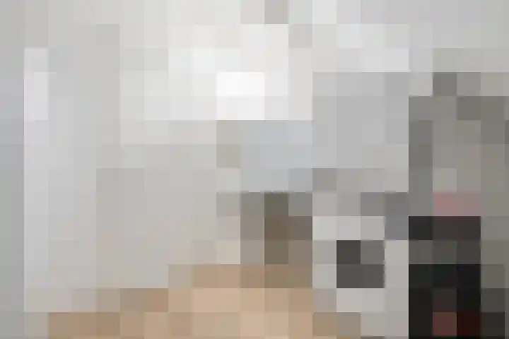 Monniksmolen 24 Zwolle thumbnail 34