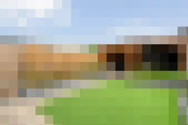 Monniksmolen 24 Zwolle thumbnail 36