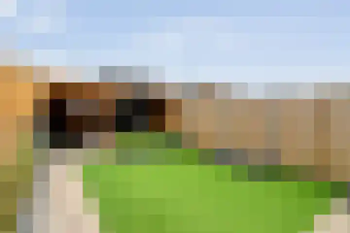 Monniksmolen 24 Zwolle thumbnail 37