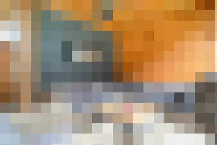 Monniksmolen 24 Zwolle thumbnail 38